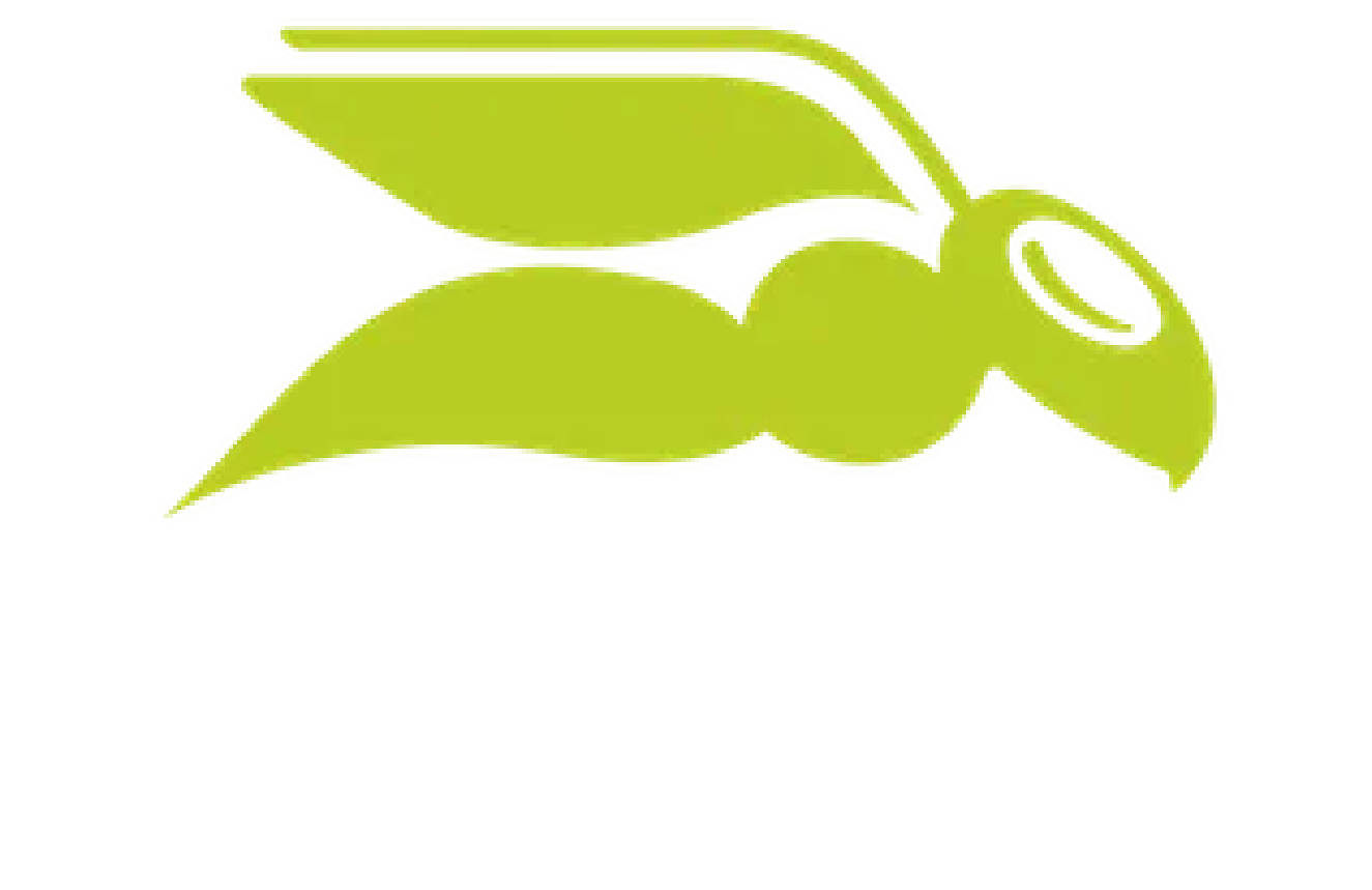 Hornet Security